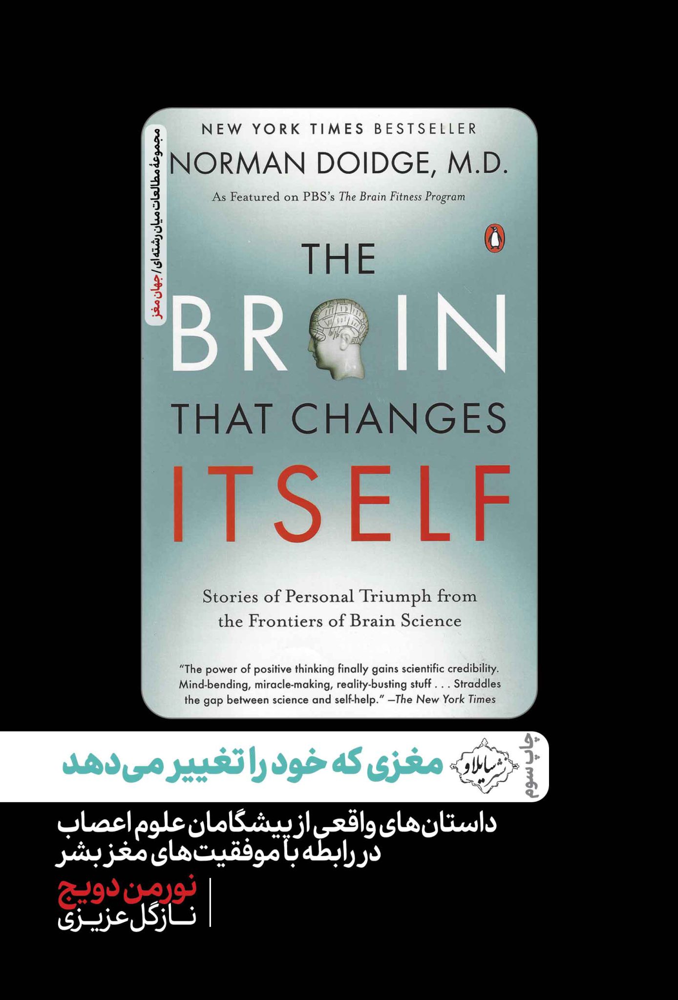 پایانه - مغزی که خود را تغییر می دهد