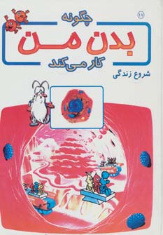 پایانه - چگونه بدن من کار می کند 17