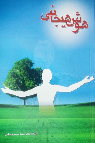 پایانه - هوش هیجانی