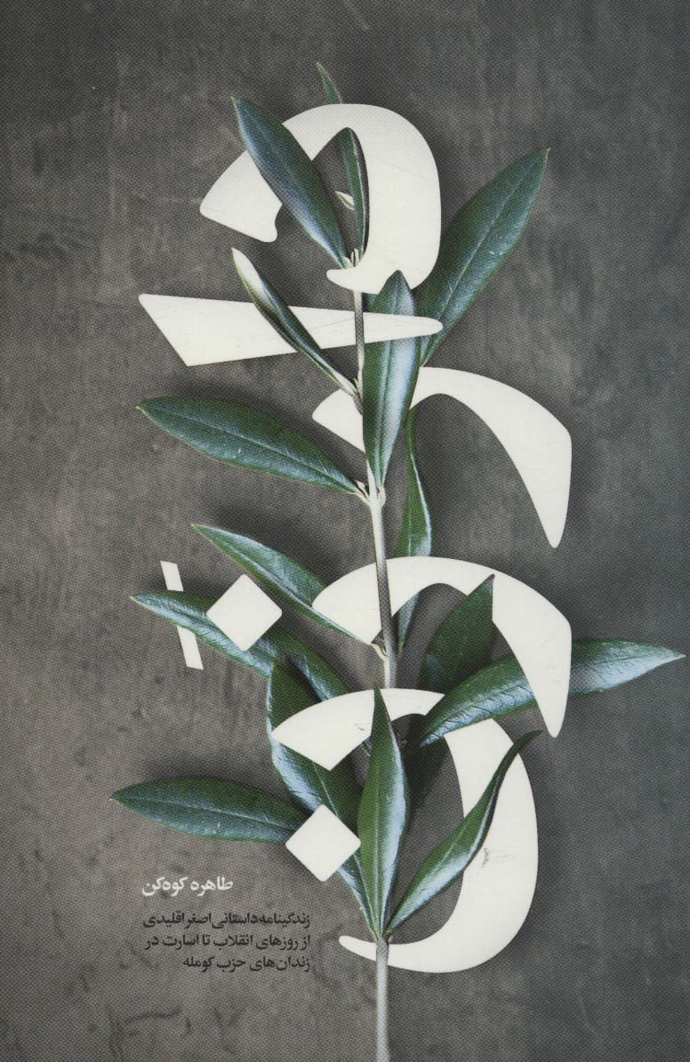 پایانه - دار زن