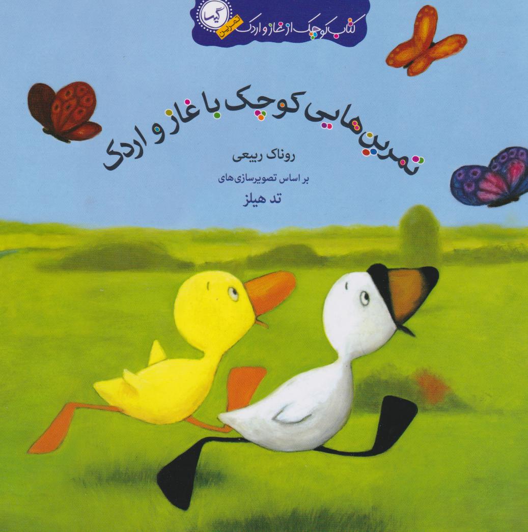 پایانه - تمرین هایی کوچک با غاز و اردک