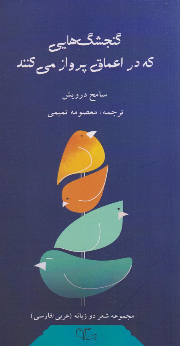 پایانه - گنجشک هایی که در اعماق پرواز می کنند