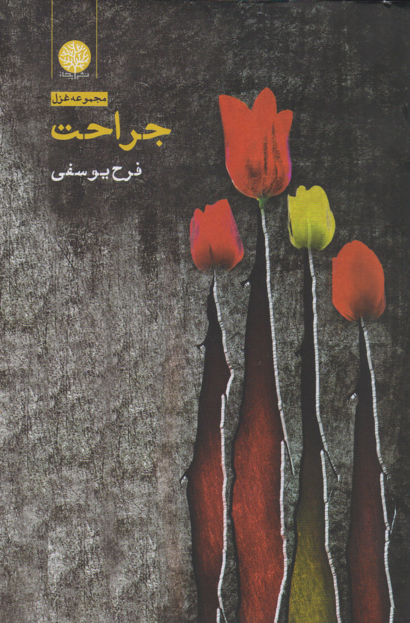 پایانه - جراحت