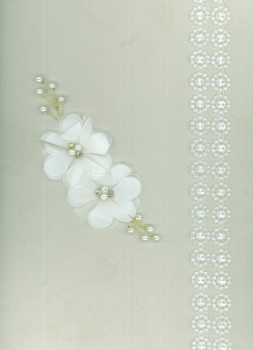 پایانه - آلبوم بله برون (سفید،00361)