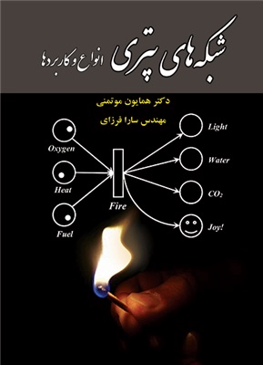 پایانه - شبکه های پتری