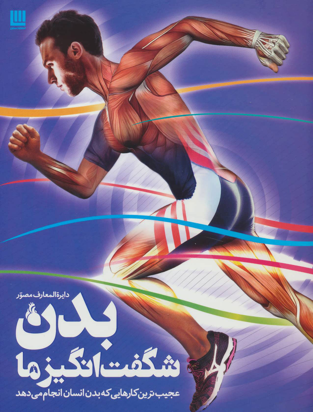 پایانه - دایره المعارف مصور بدن شگفت انگیز ما