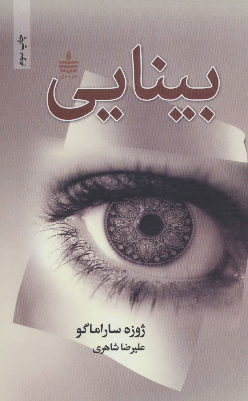 پایانه - بینایی