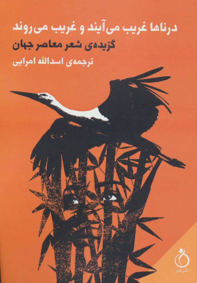 پایانه - درناها غریب می آیند و غریب می روند