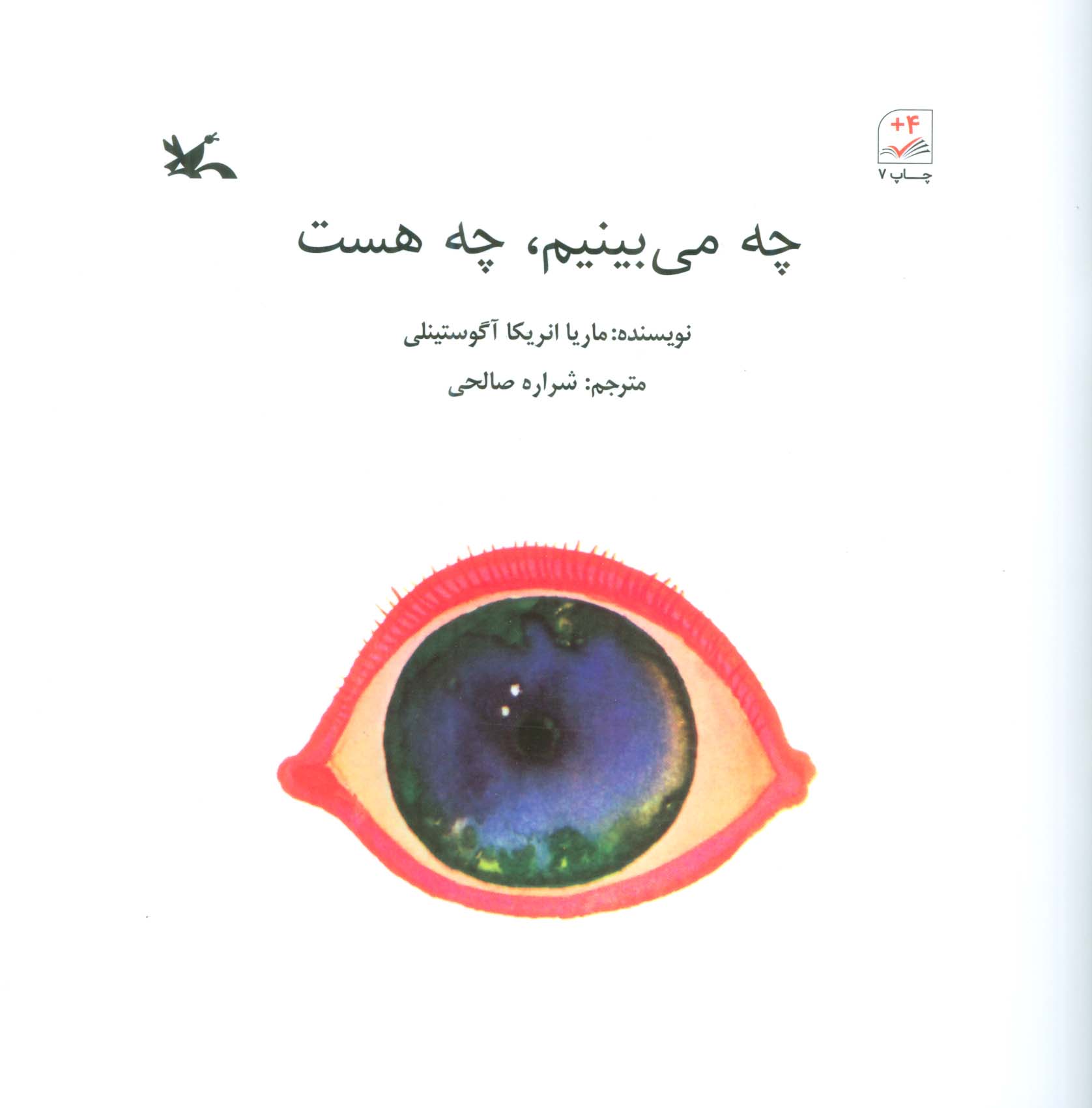 پایانه - چه می بینم ، چه هست