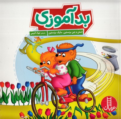 پایانه - بدآموزی