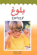 پایانه - بلوغ