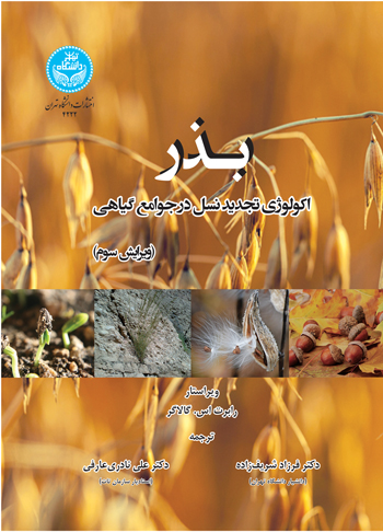 پایانه - بذر