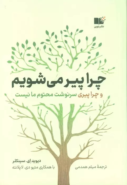 پایانه - چرا پیر می شویم