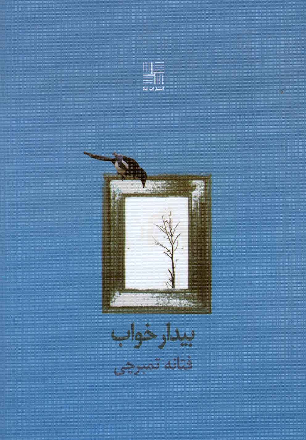 پایانه - بیدار خواب