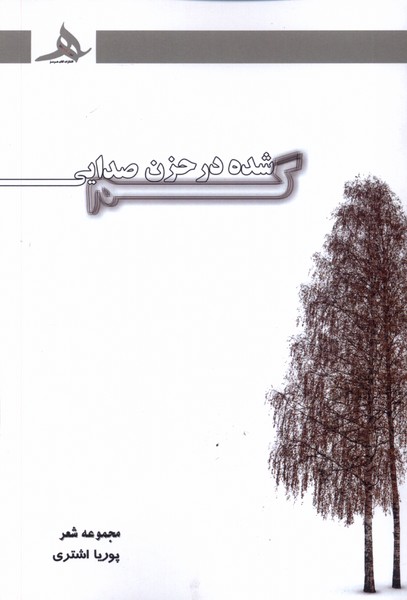 پایانه - گم شده در حزن صدایی