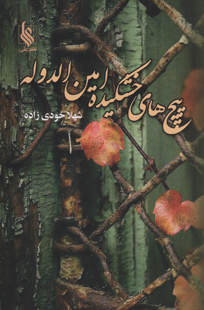 پایانه - پیچ های خشکیده امین الدوله