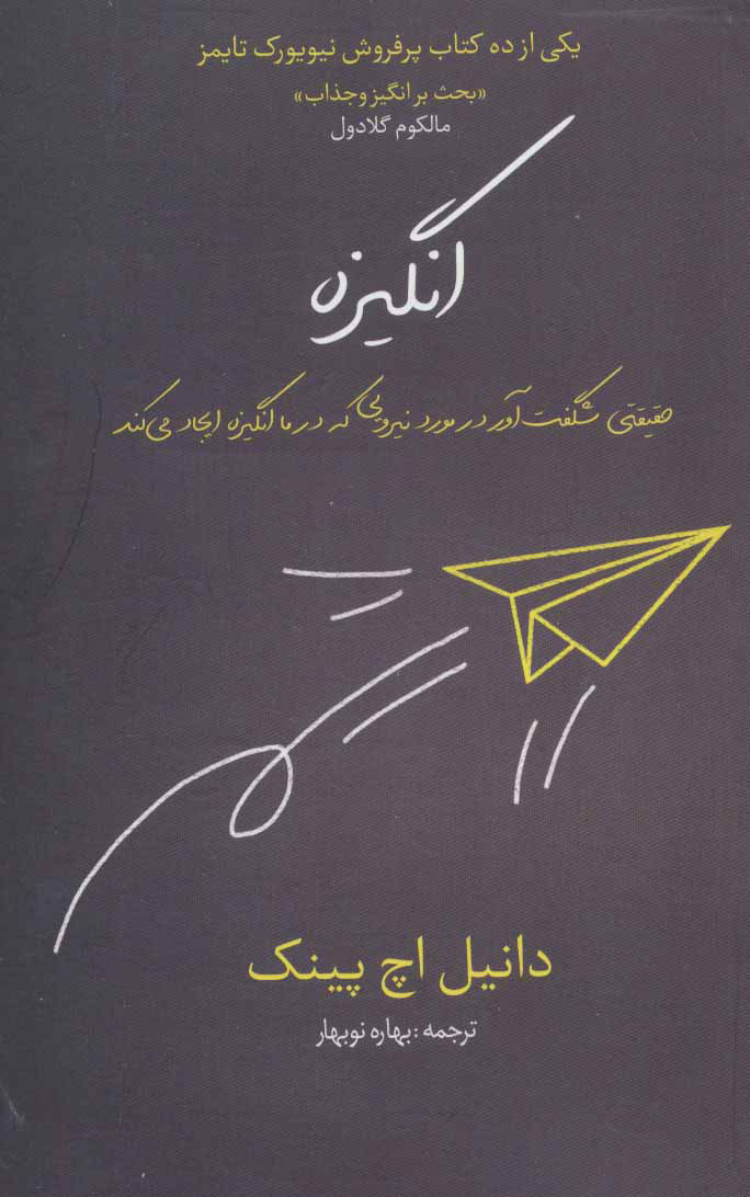 پایانه - انگیزه