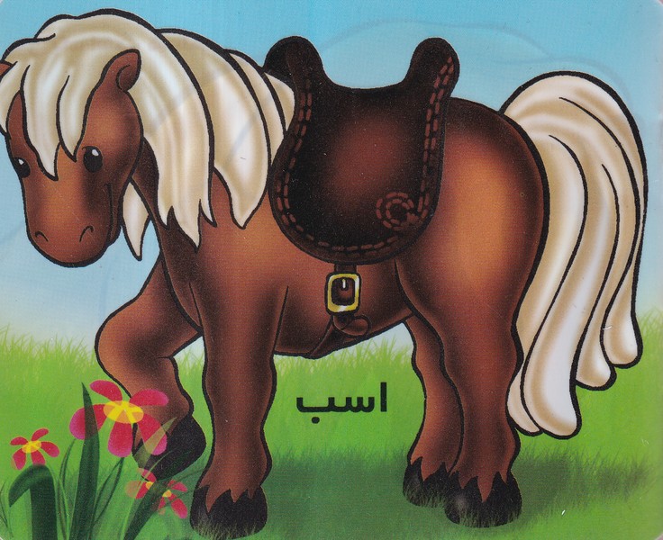 پایانه - اسب