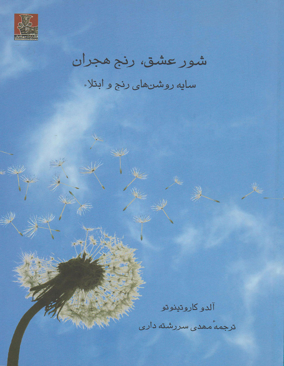 پایانه - شور عشق، رنج هجران