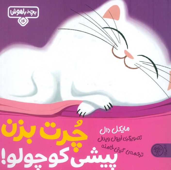 پایانه - چرت بزن پیشی کوچولو!