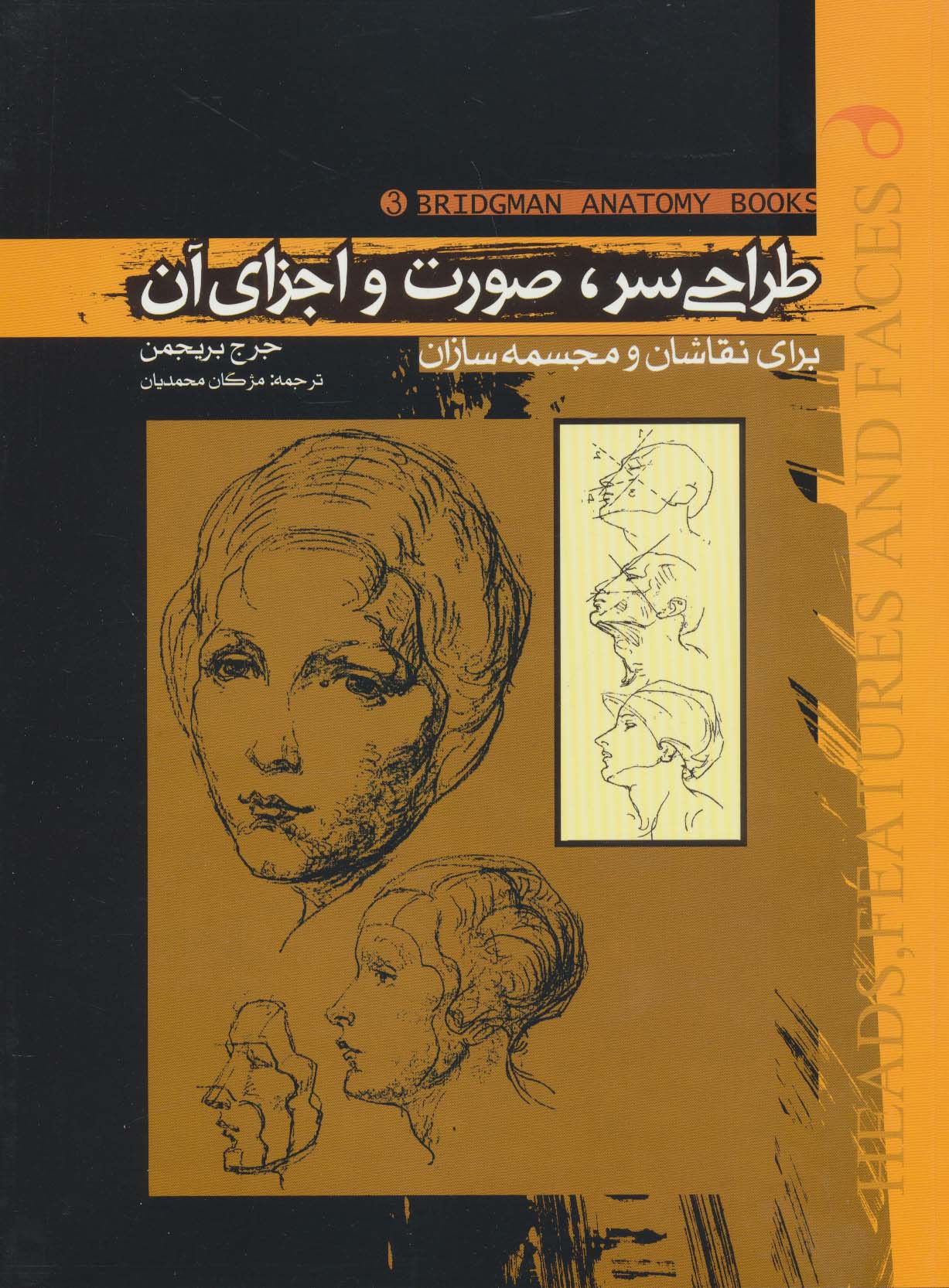 پایانه - طراحی سر،صورت و اجزای آن