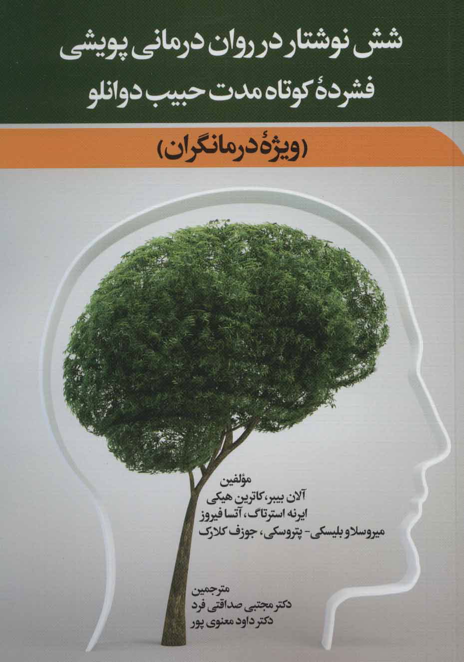 پایانه - شش نوشتار در روان درمانی پویشی فشرده کوتاه مدت حبیب دوانلو