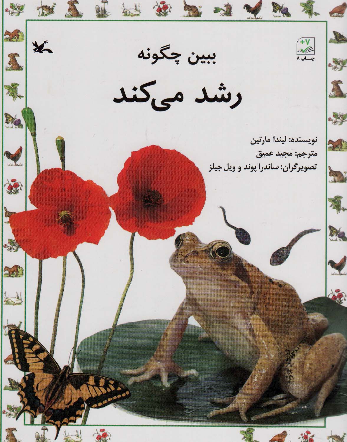 پایانه - ببین چگونه رشد می کند