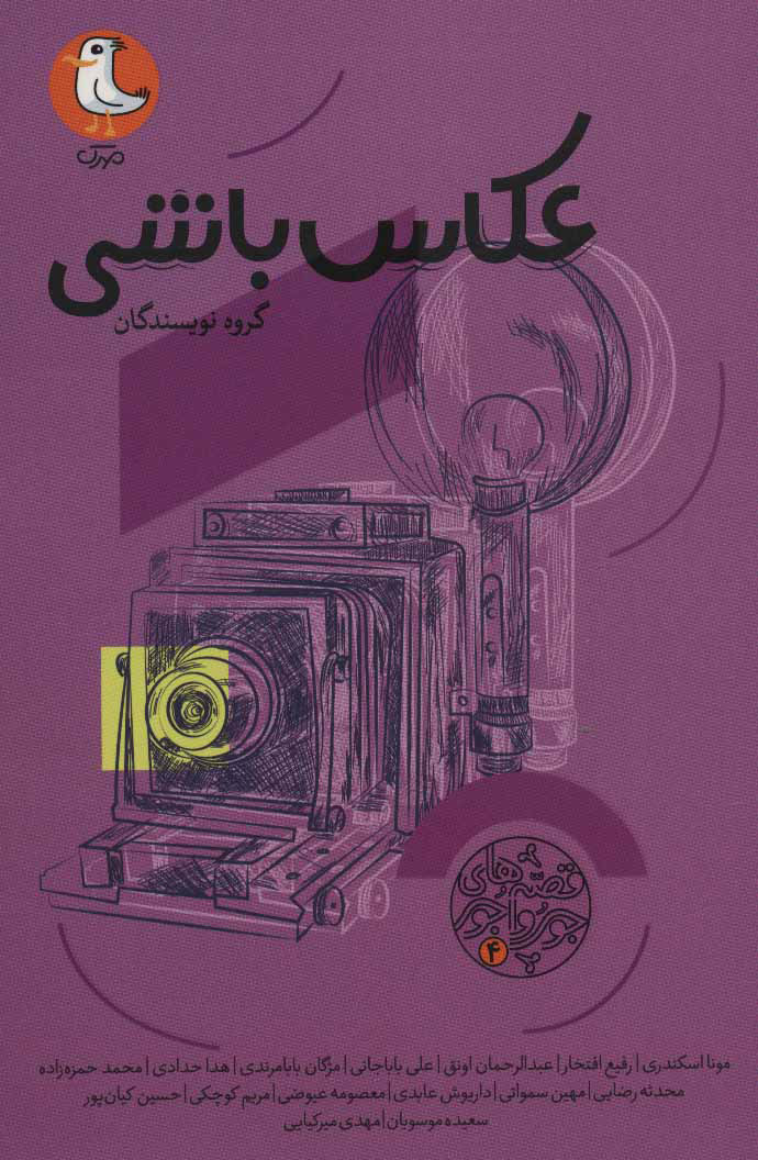 پایانه - عکاس باشی