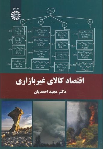 پایانه - اقتصاد کالای غیربازاری