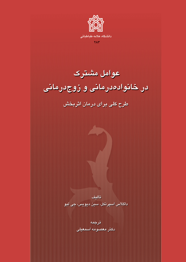 پایانه - عوامل مشترک در خانواده درمانی و زوج درمانی