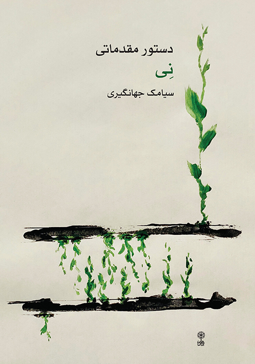 پایانه - دستور مقدماتی نی