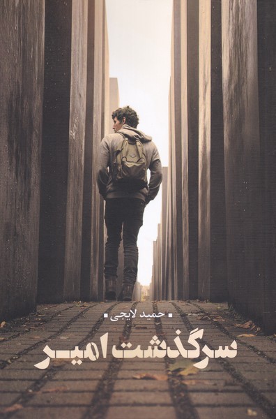 پایانه - سرگذشت امیر