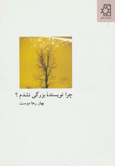 پایانه - چرا نویسنده بزرگی نشدم؟