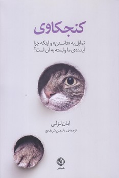 پایانه - کنجکاوی