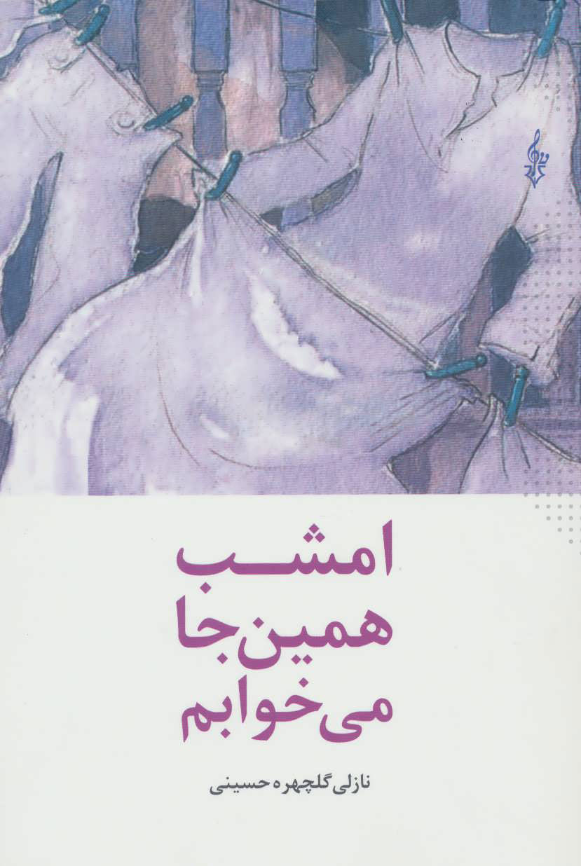 پایانه - امشب همین جا می خوابم