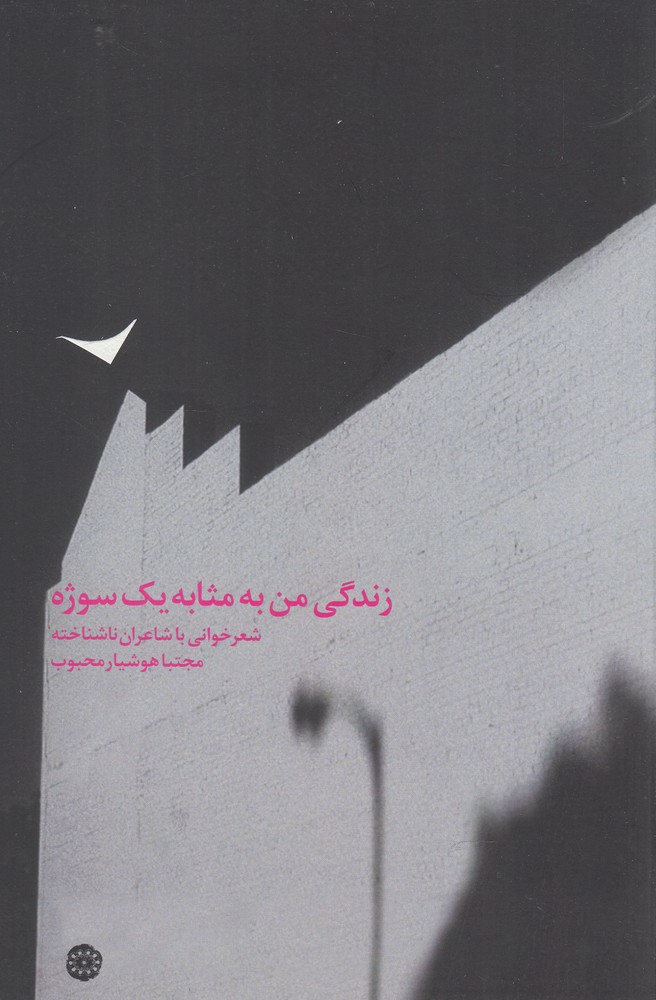 پایانه - زندگی من به مثابه یک سوژه