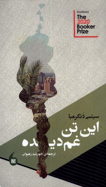 پایانه - این تن غم دیده