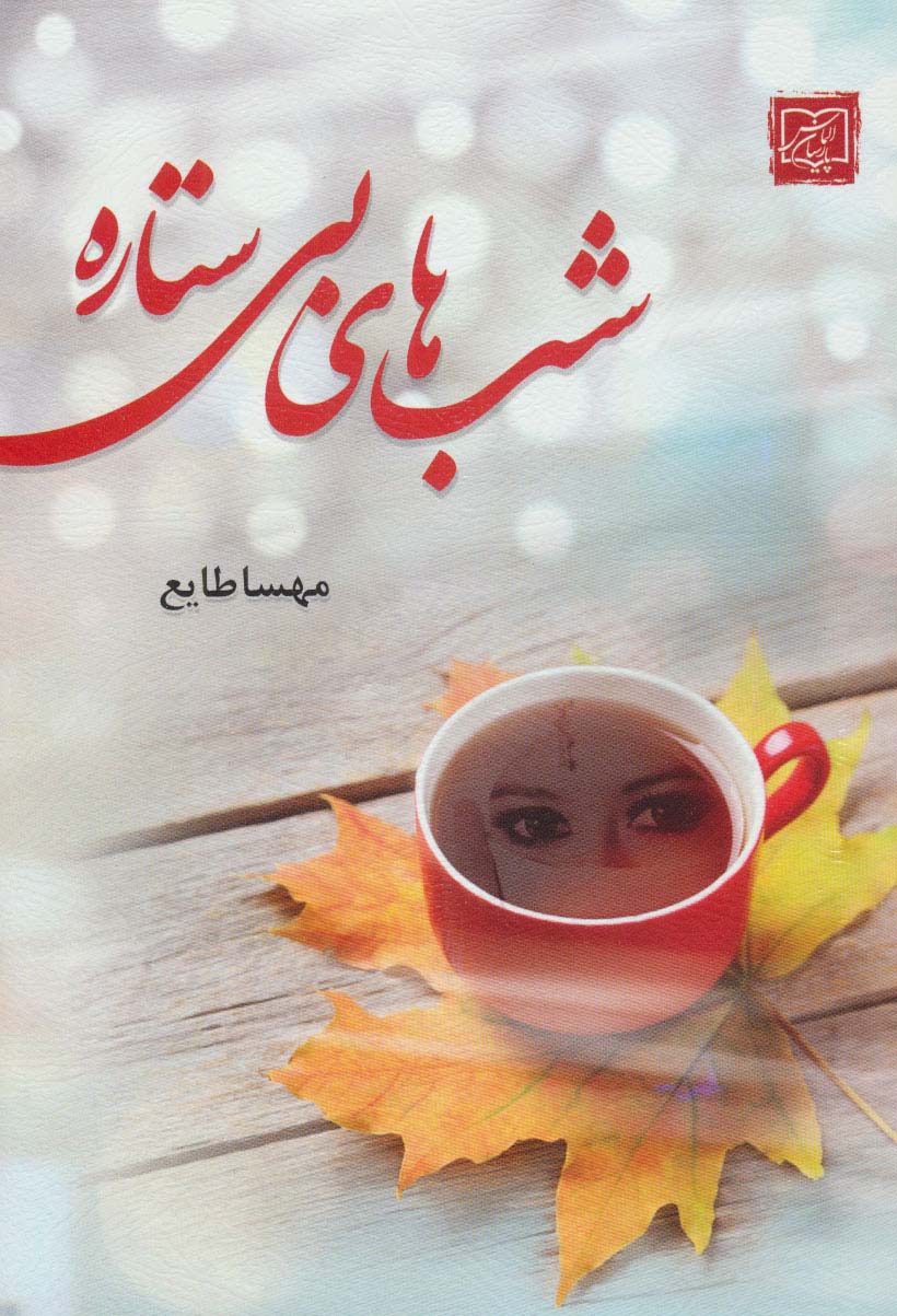 پایانه - شب های بی ستاره