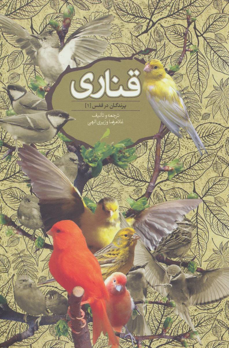 پایانه - قناری