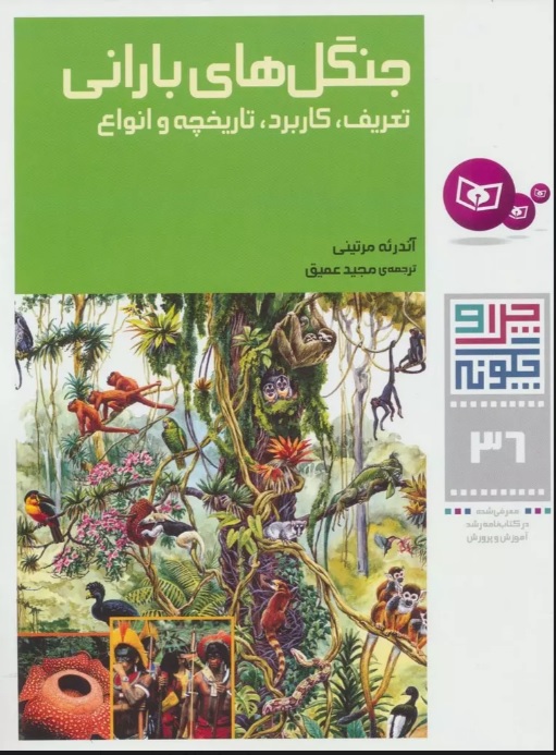 پایانه - جنگل های بارانی