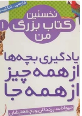 پایانه - مجموعه نخستین بزرگ من