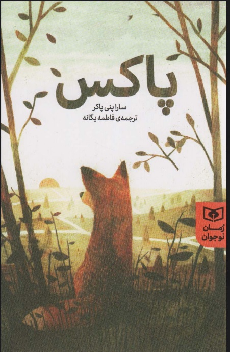 پایانه - پاکس