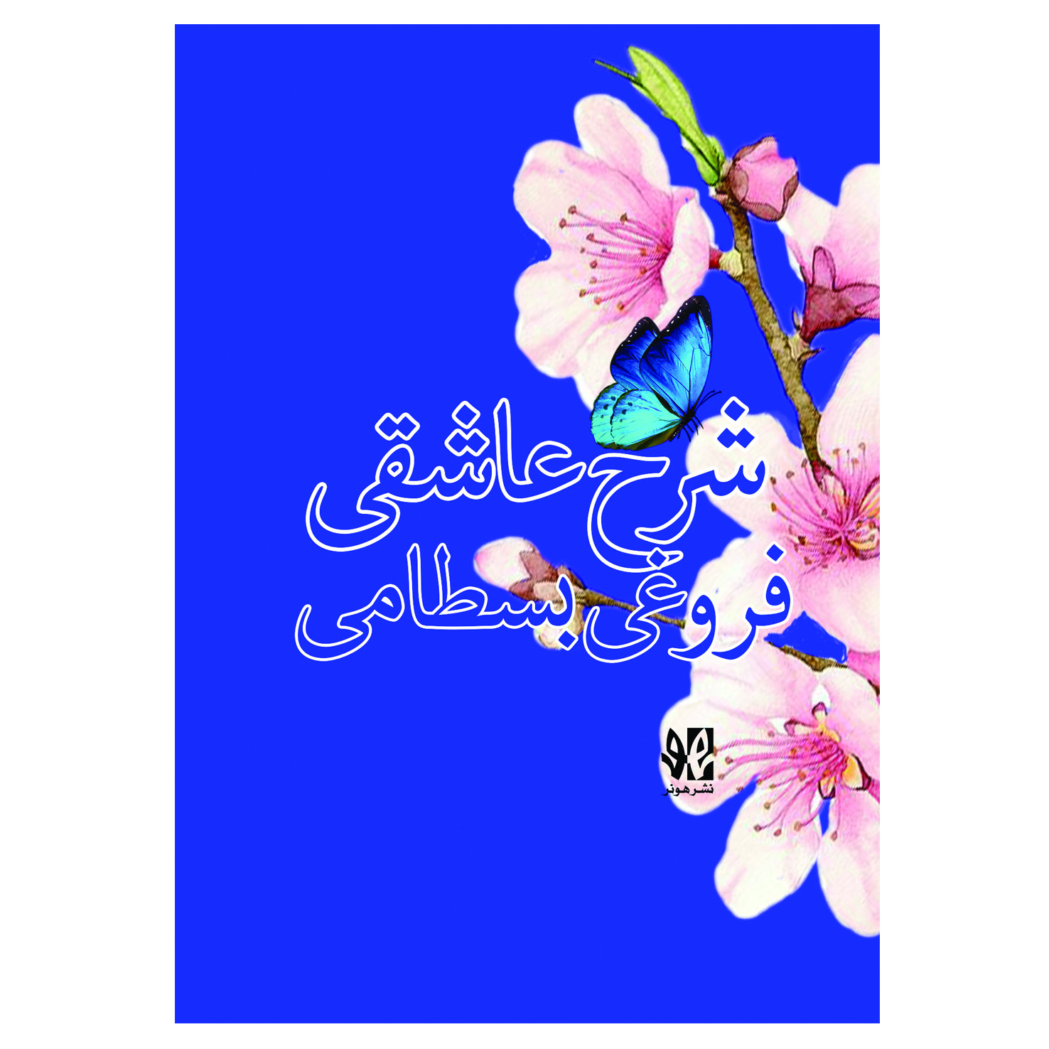 پایانه - شرح عاشقی فروغی بسطامی