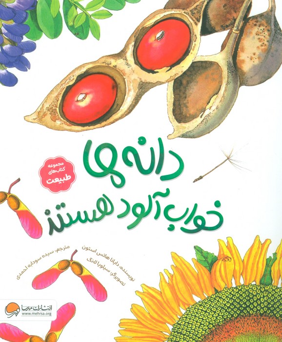 پایانه - دانه ها خواب آلود هستند