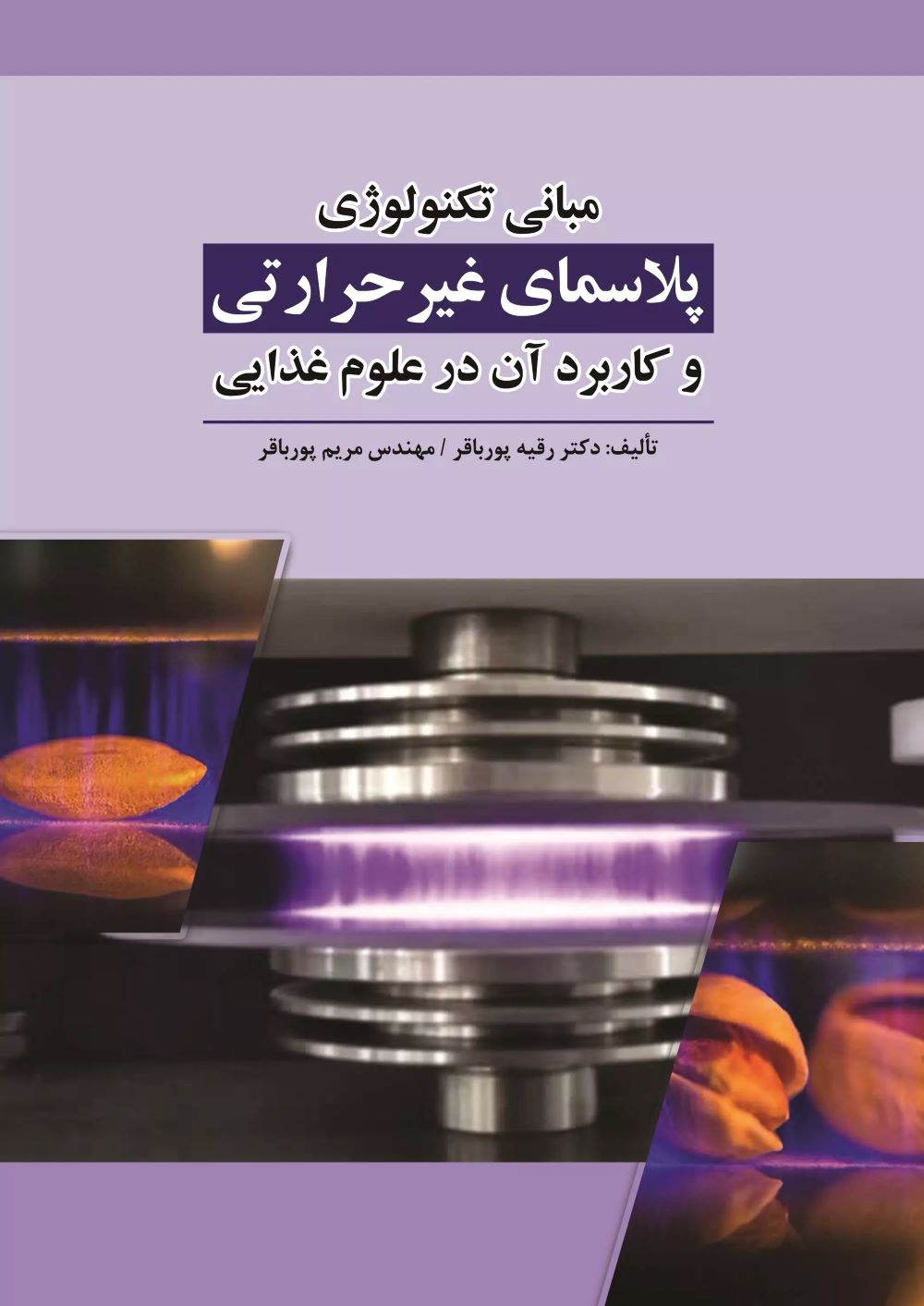 پایانه - مبانی تکنولوژی پلاسمای غیر حرارتی و کاربرد آن در علوم غذایی