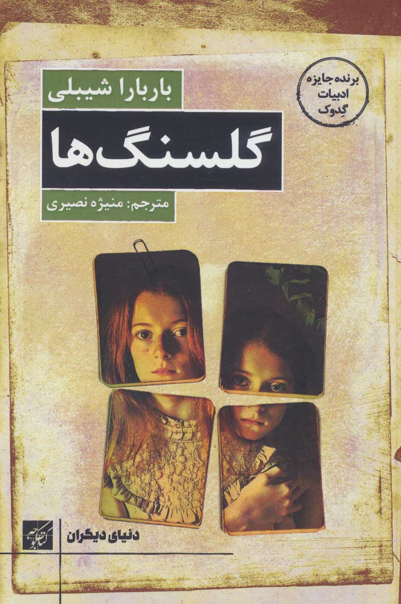 پایانه - گلسنگ ها