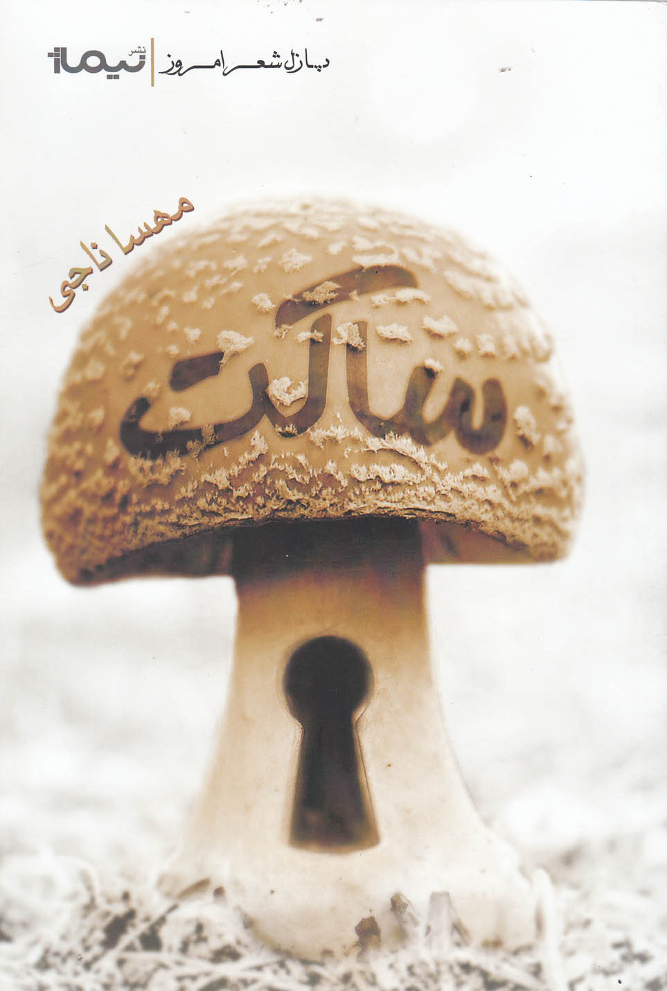 پایانه - ساکت