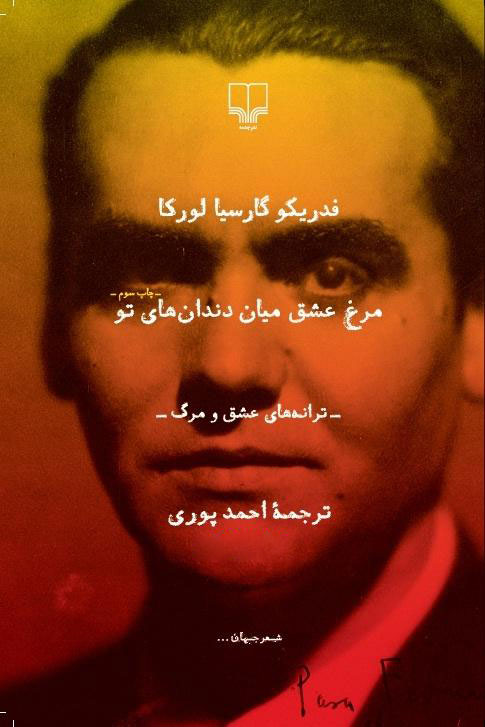 پایانه - مرغ عشق میان دندان های تو