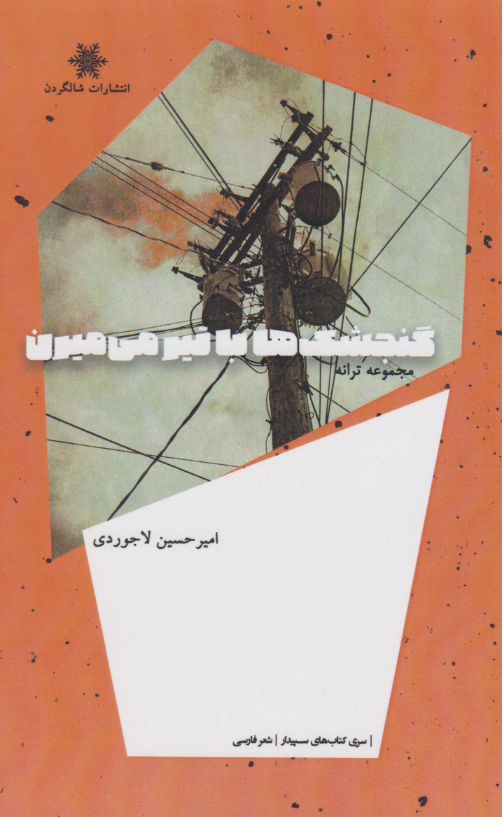 پایانه - ‫گنجشک ها با تیر می میرن