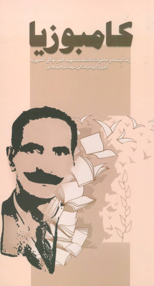 پایانه - کامبوزیا